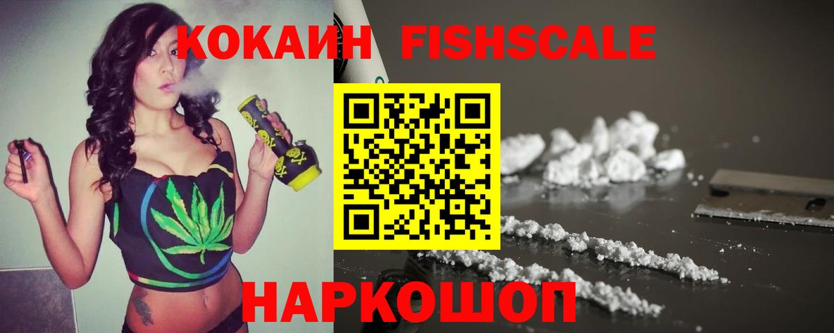 Cocaine Перу  Вход с VPN  Камышин  COCAIN FishScale 