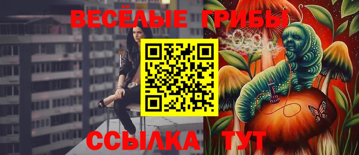 Псилоцибиновые грибы прущие грибы Камышин