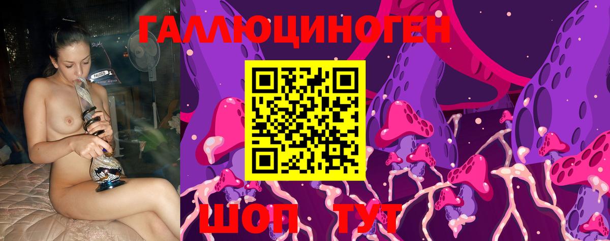 Камышин  Галлюциногенные грибы MAGIC MUSHROOMS  Псилоцибиновые грибы MAGIC MUSHROOMS  Вход с VPN 